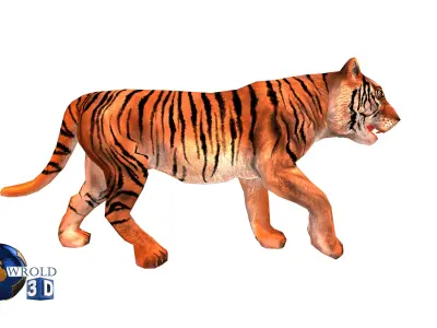  Tiger rigged Animated Lowpoly 3d model Low-poly 3D model