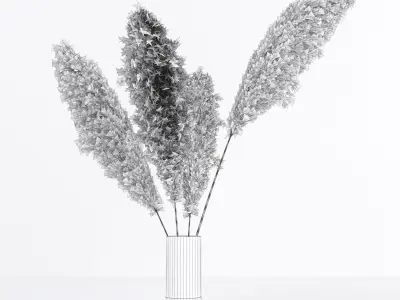 pampas in vase 01 3D model