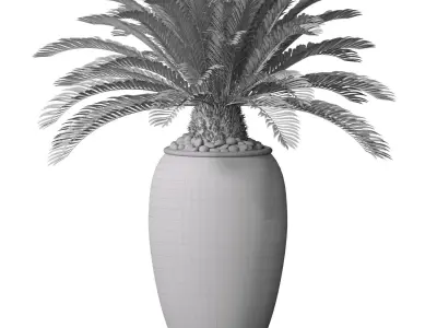 Decorative Cycas palm in marble vase pot urn 3D model