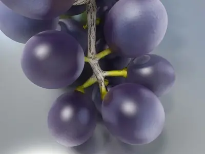 Black Grapes High Detail 3D model