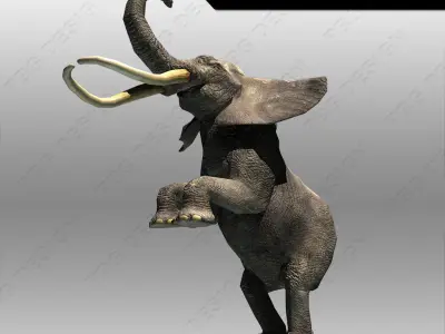 African Elephant Low-poly 3D model