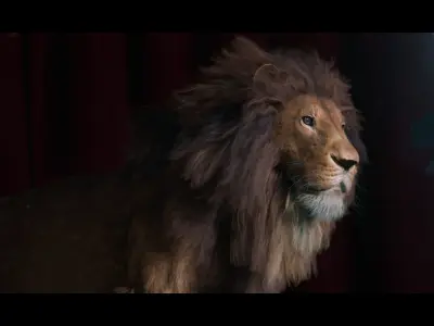 Lion Photorealistic Rigged 3d Blender 4K model  3D model