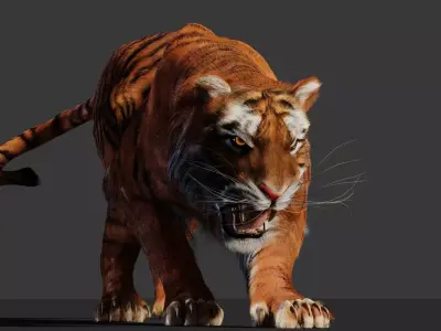 Tiger 3D Realistic Model  3D model