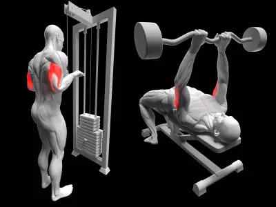 Triceps Exercise Pack - Cable Extension - French Press 3D model