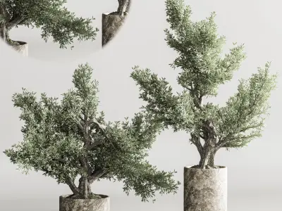 Bonsai collection set vol 02 3D model