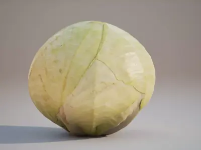 Low Poly 3D Cabbage model Game ready 4K PBR Textures UE Low-poly 3D model