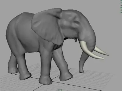 African Elephant Low-poly 3D model