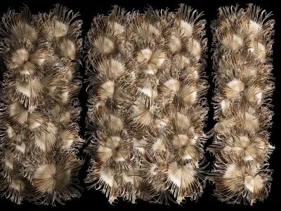 Wall decor made from dry branches of palm leaves 312 3D model