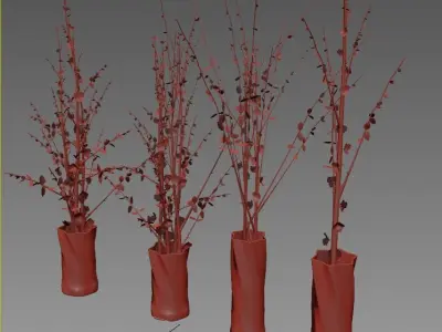 dry decorative plant set 3D model
