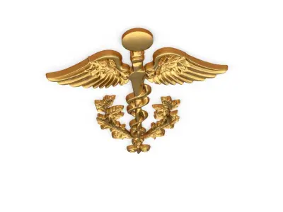 Relief Caduceus carved 03 3D model