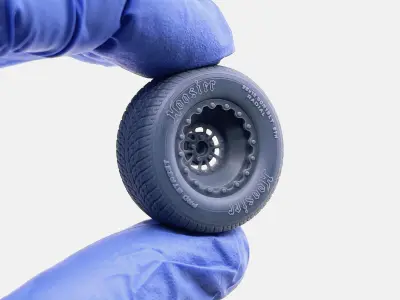 15x10 Sander 752 Wheel Hoosier Pro Street Tire 3D print model