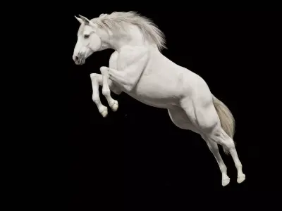 White Horse Rigged Animated 3D model
