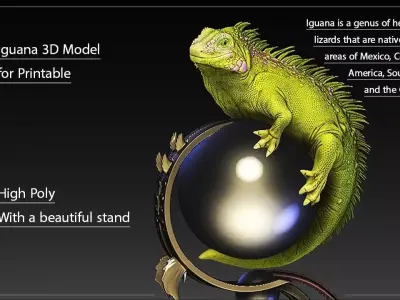 Dragon  3D model
