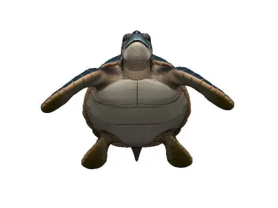 Sea Turtle Low-poly 3D model