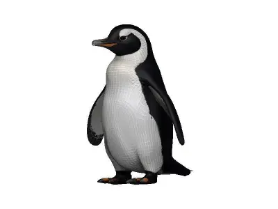 Penguin Low-poly 3D model 4