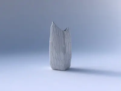 Vase double arc rectangle with organic cells 3D print model