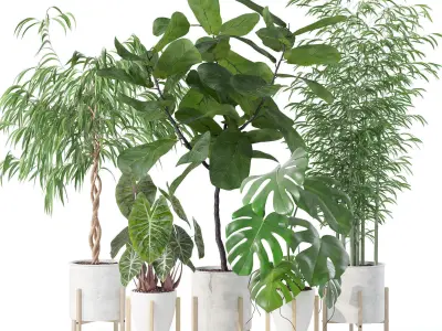 20 Photorealistic Flowers for Interiors - set 126 131 133 141 3D Model Collection