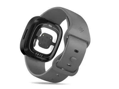 Fitbit Sense 2 Shadow Grey 3D model