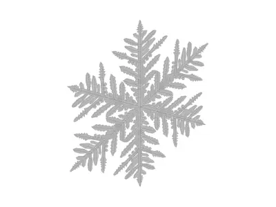 snowflake 3D model