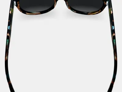 Annika Sunglasses in Aventurine Tortoise 3D model