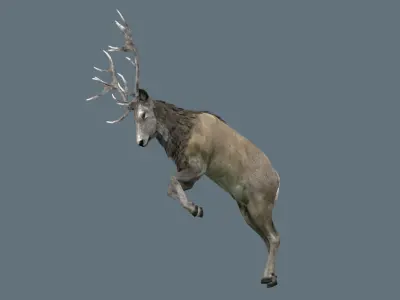 Deer Rig Low-poly 3D model
