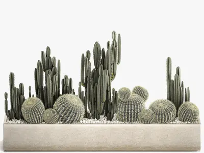Cactus set in a concrete flowerpot for the interior 1097 3D model