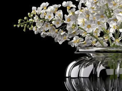 Flower Vase Set 3D model