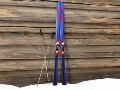 Ski and Ski Pole 3D model