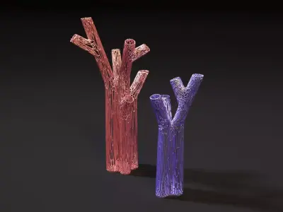 Vases in the form of coral for decoration 3D print model