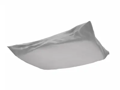 Solid Pillow 12 3D model