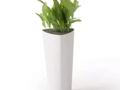 Potted Plant In Tall White Vase 3D model