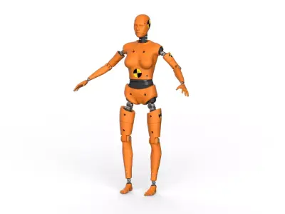 Crash Test Dummy  Robot Android  3D model Female 3D model