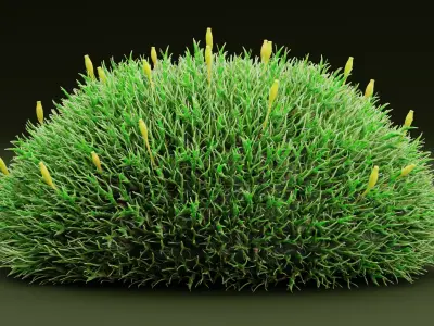 Moss V2 Low-poly 3D model