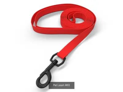 Pet Leash Collection 01 3D Model Pack