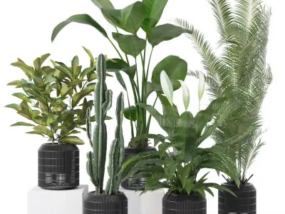 Plants collection 134 3D model