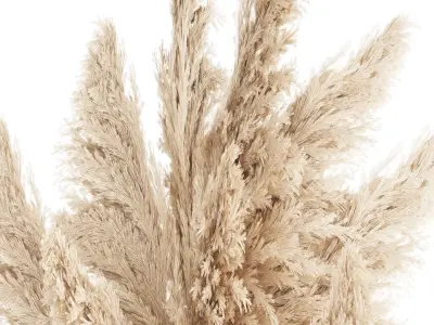 Bouquet Dried Flowers Branches Cortaderia Pampas vase 554 3D model