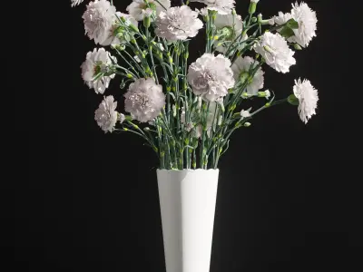 Cornation bouquet  3D model