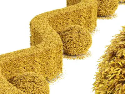 4diffrent bush Dwarf Yaupon Holly Box Spherical Cone Fall 3D model