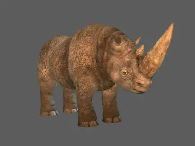 RHINO 3D RIG MODEL WITH TEXTURES 3D model