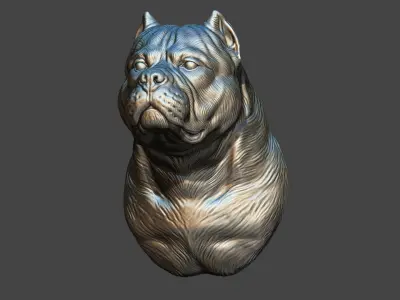 American bully bust 3D print model