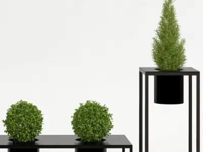 Room plants 3D model