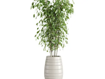 Plants Set 3D model get