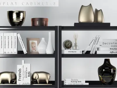 Display cabinet 3 3D model