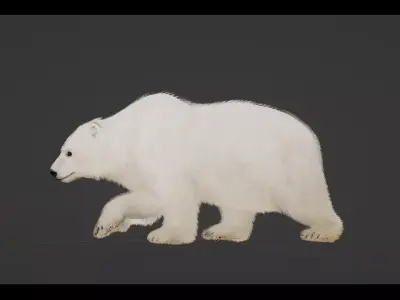 Polar Bear Low-poly 3D model 4