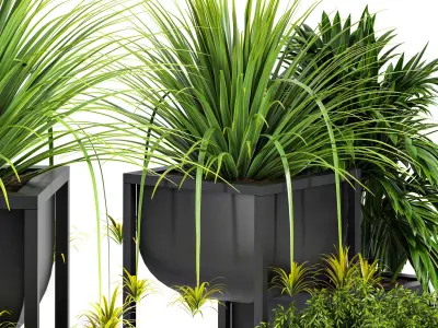 indoor plant set 03 3D model purchase