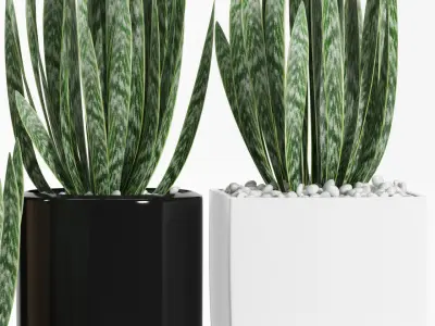 Plants 103 3D model