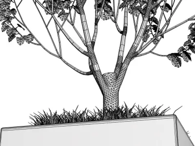 Young birch-tree in red pot 3D model