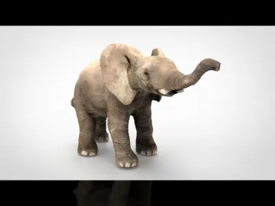 ELEPHANT baby Low-poly 3D model