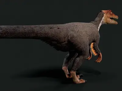 Velociraptor Dinosaur Animated Low Poly Low-poly 3D model