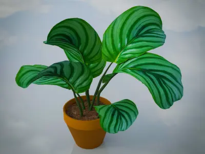 Lowpoly Indoor Plants Pack Low-poly 3D model
